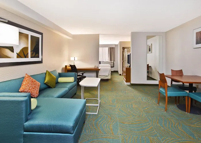Springhill By Marriott Chicago Southwest At Hinsdale 3* Burr Ridge