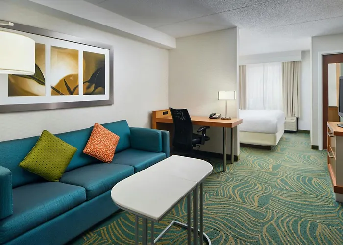 Springhill By Marriott Chicago Southwest At Hinsdale 3* Burr Ridge