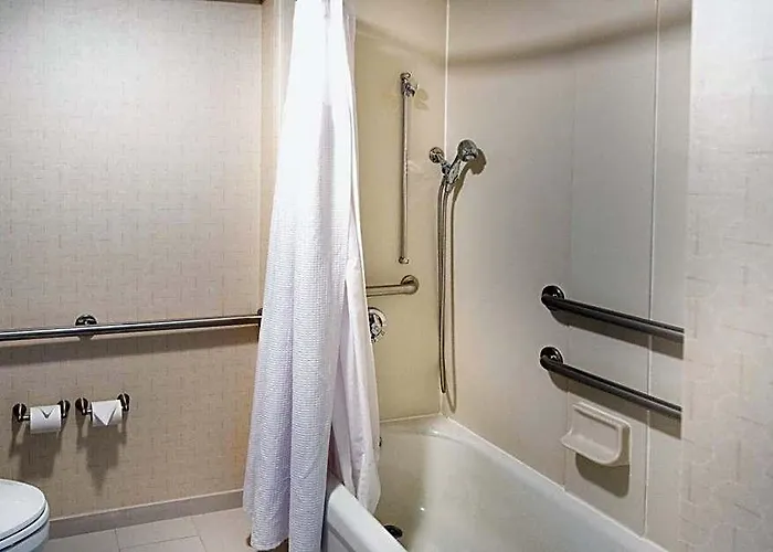 Springhill By Marriott Chicago Southwest At Hinsdale 3* Burr Ridge